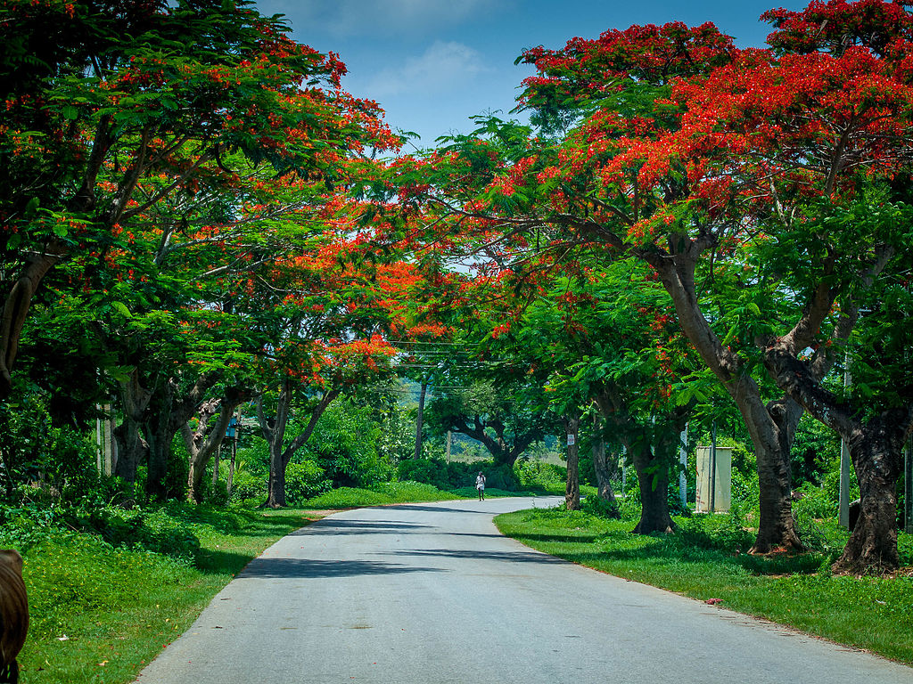long drives near bangalore