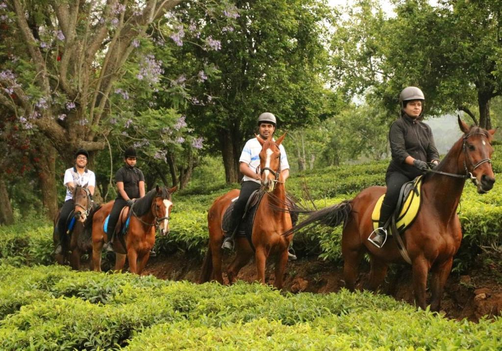 Travelers seated on horseback