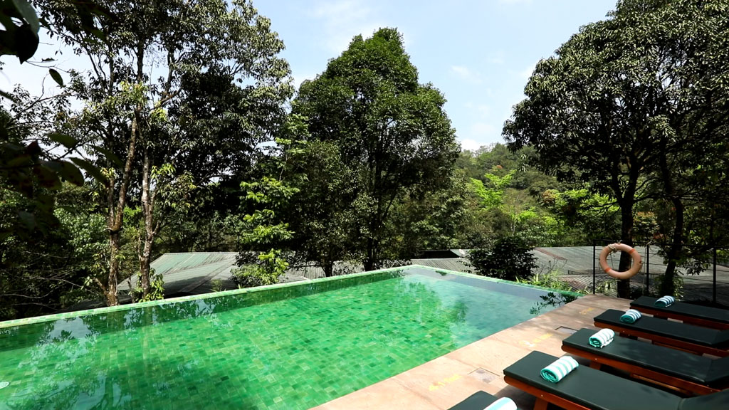 Rainforest Stay: forest resorts near bangalore pool view