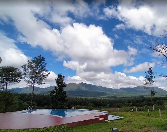 pool with a view