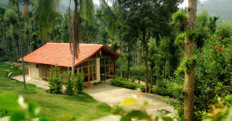 romantic tree houses in India