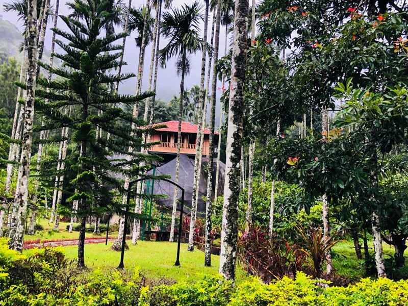 romantic tree houses in India