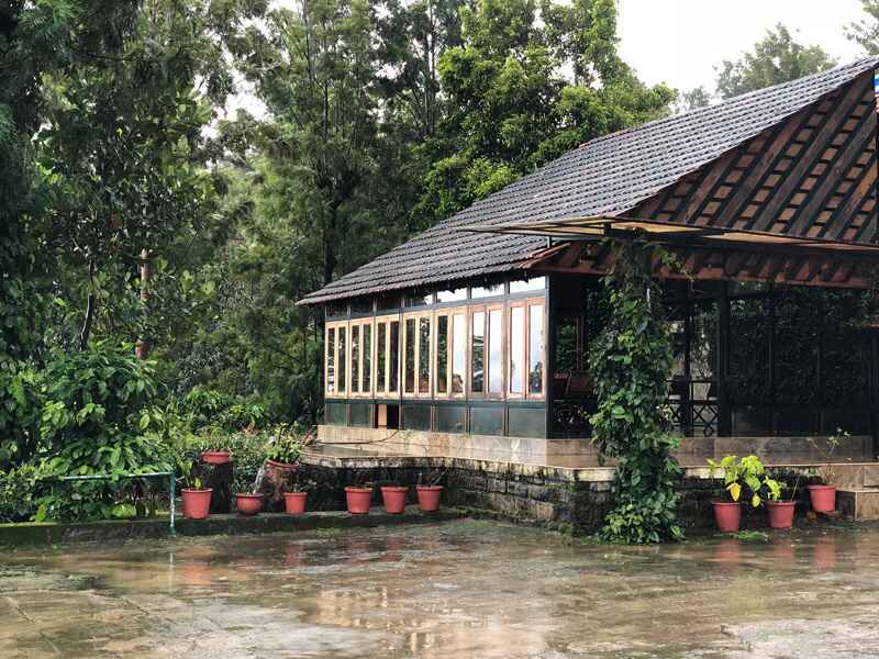 tree house in wayanad