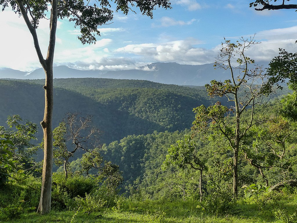 road trip from bangalore to ooty