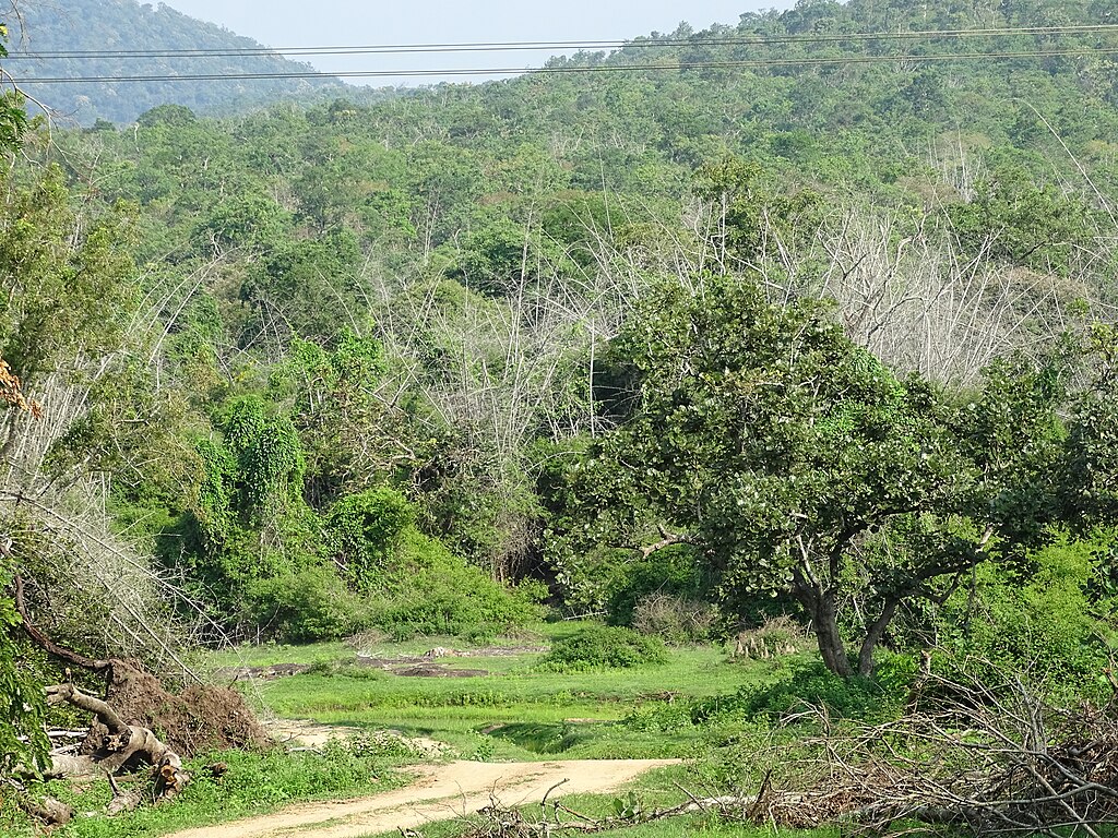 road trip from bangalore to wayanad