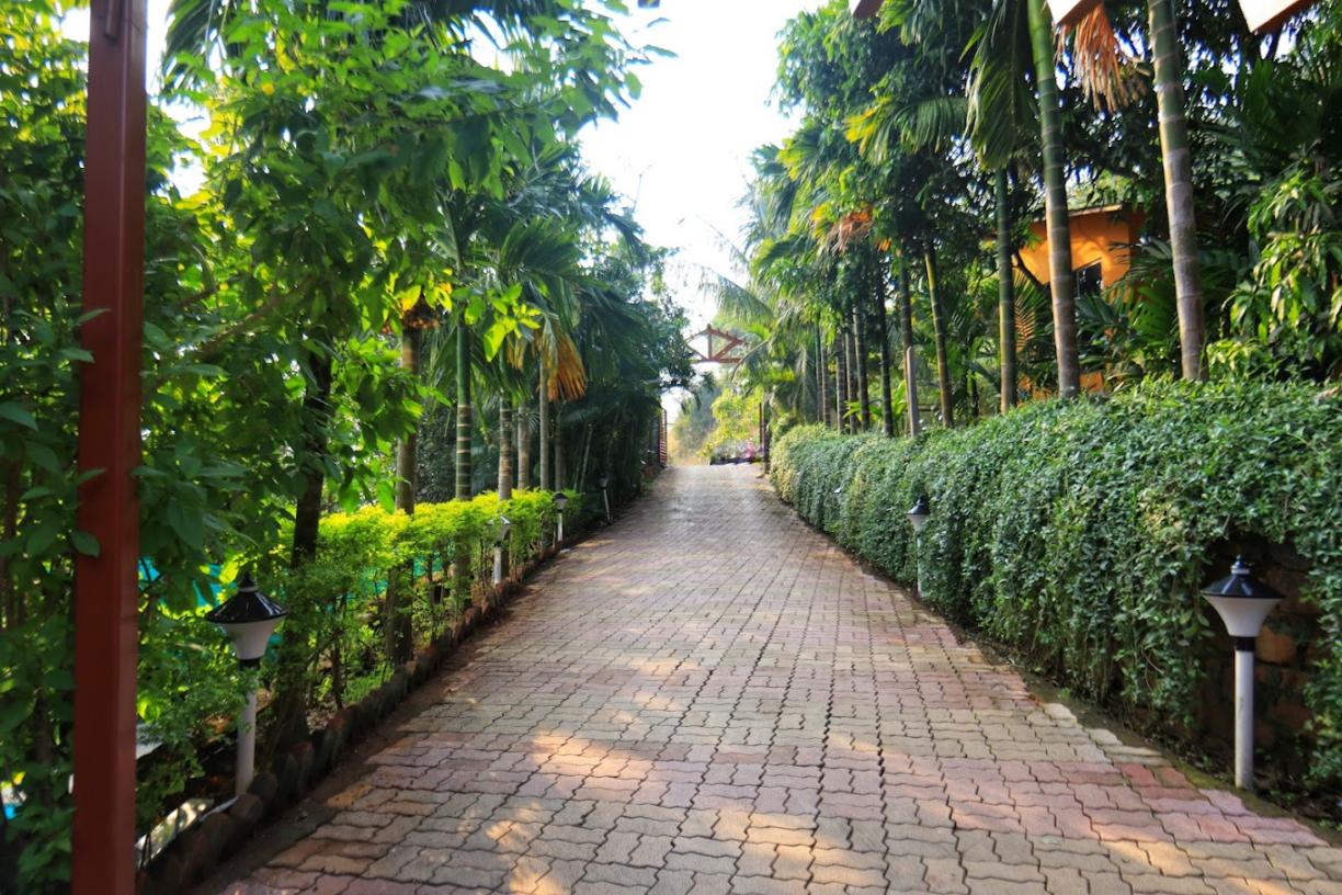 boutique resorts in alibaug