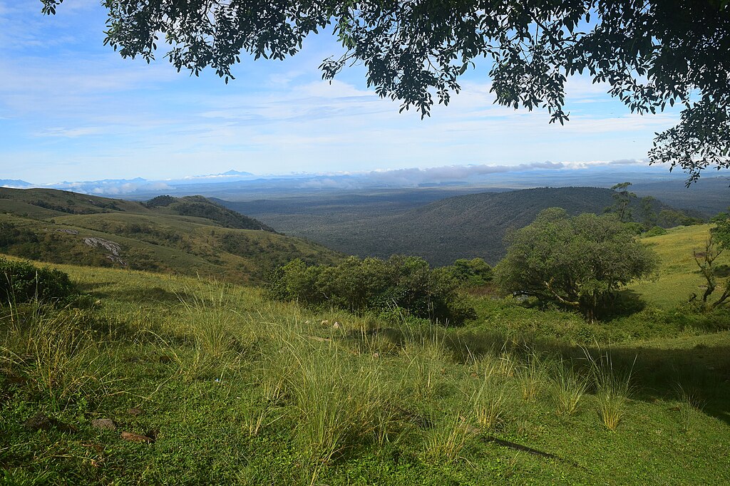 bangalore to bandipur road trip