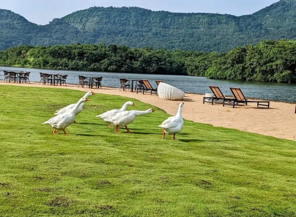 lounge area and private lake