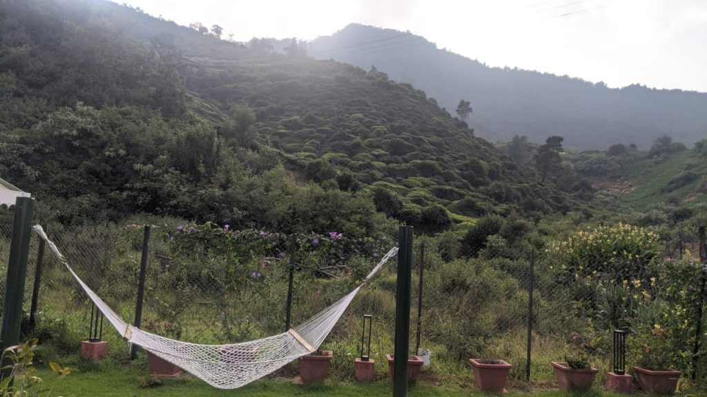 garden space amidst nature