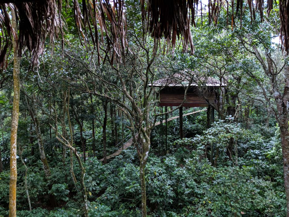 romantic tree houses in India