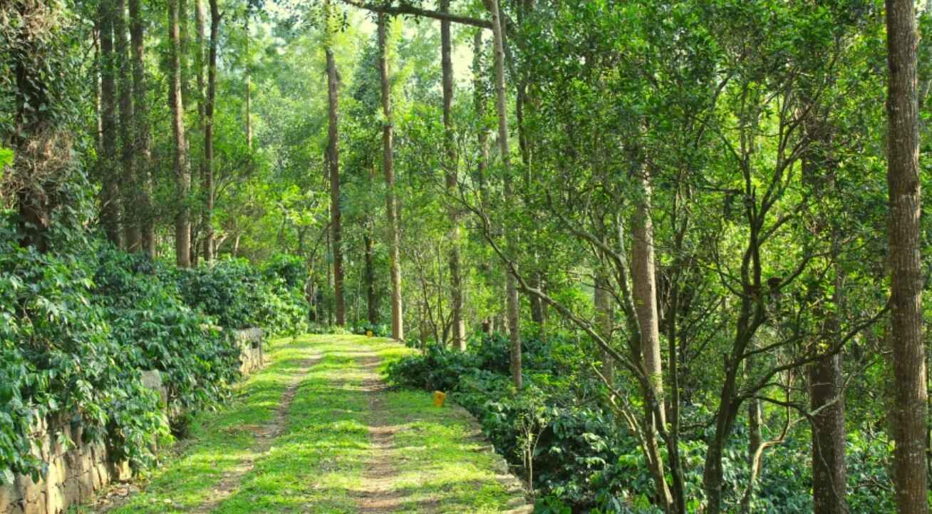 cottage in yercaud