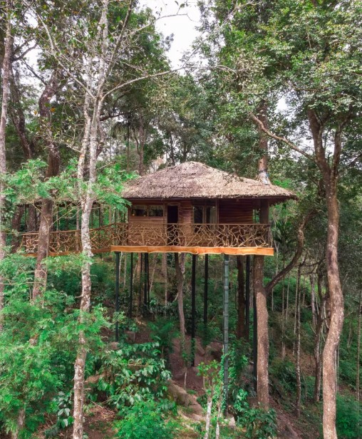 romantic tree houses in India