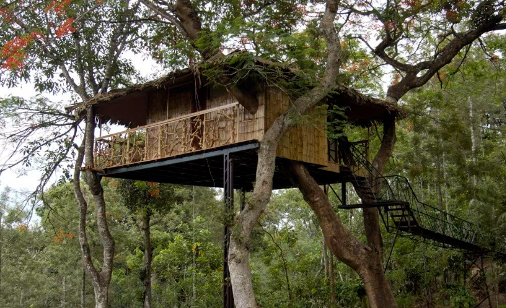 romantic tree houses in India