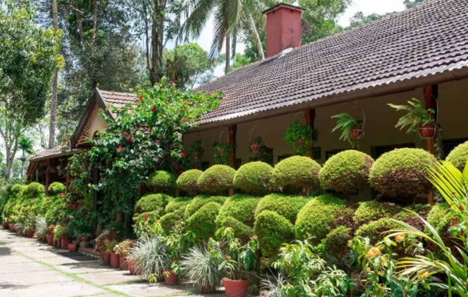 romantic tree houses in India