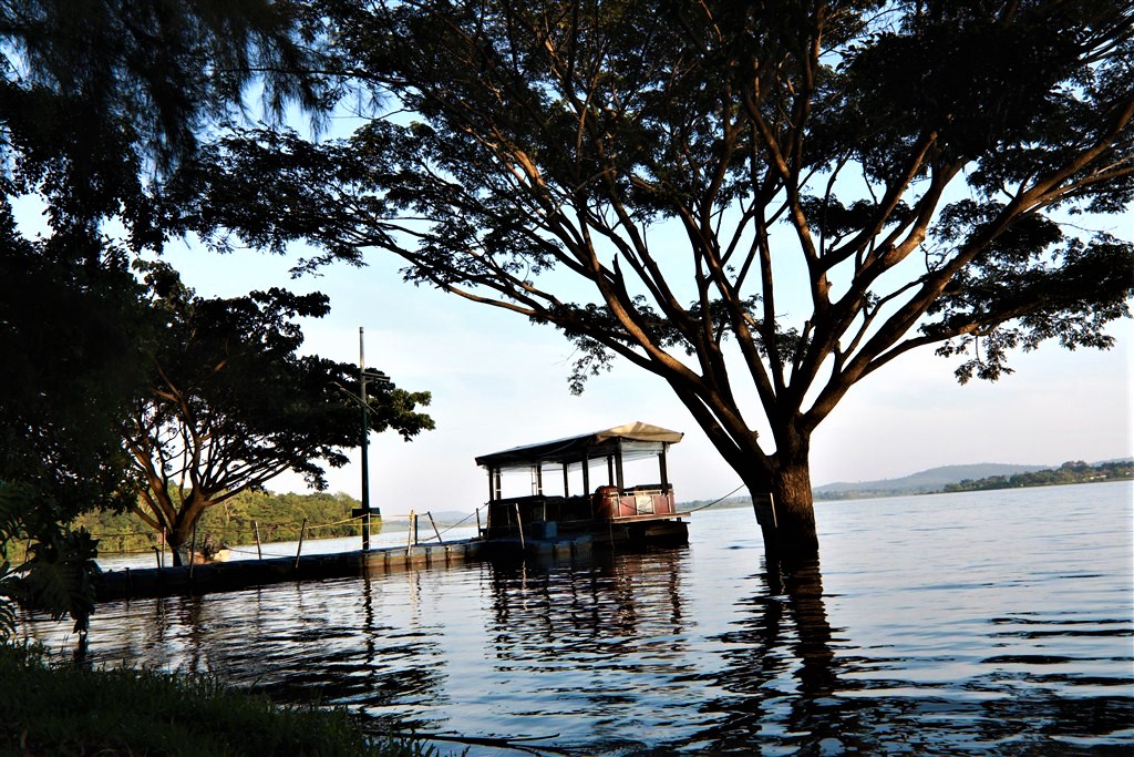 banks-of-kabini-river-view