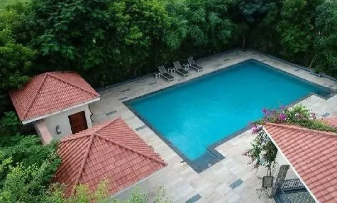 pool-view-from-above