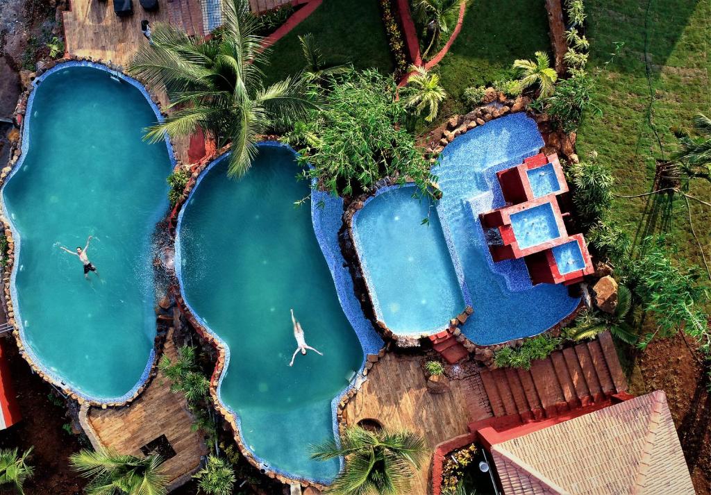 Nature's Holistic Wellness Retreat Resort Swimming Pool View From Top