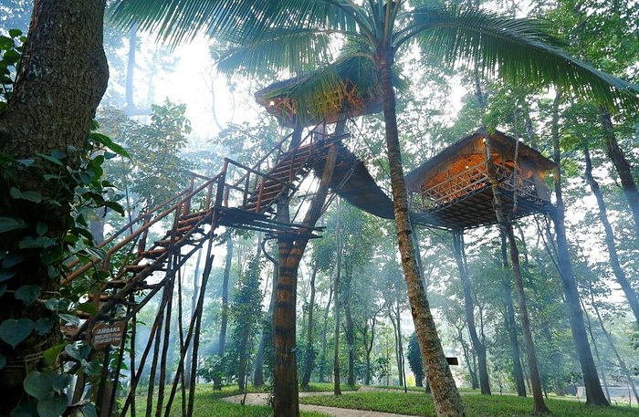 the best resort in India: green stay tree house view