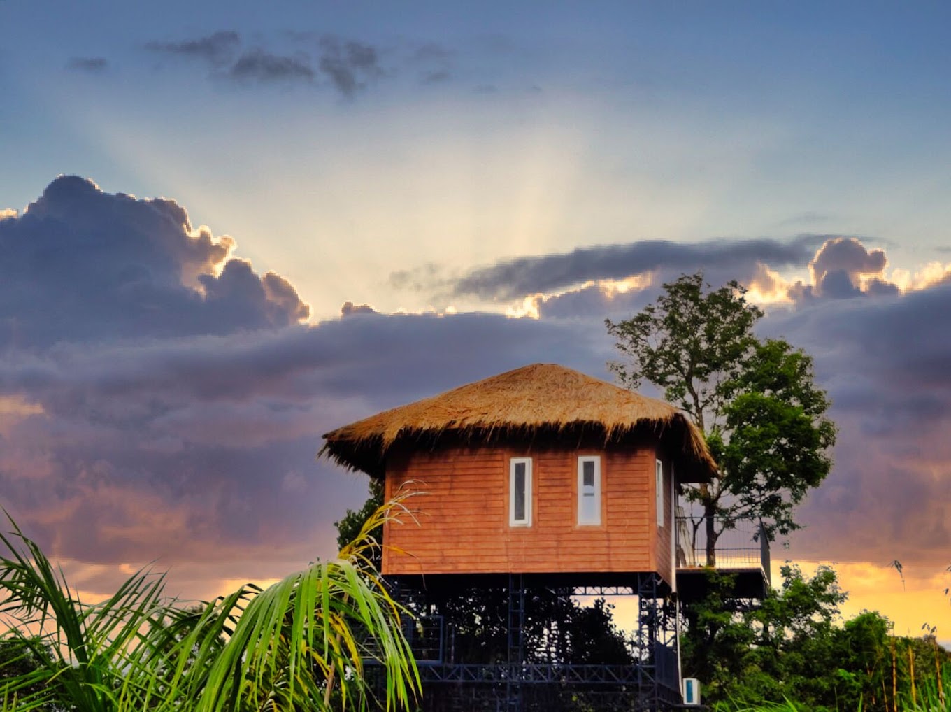 Treehouses Near Kerala