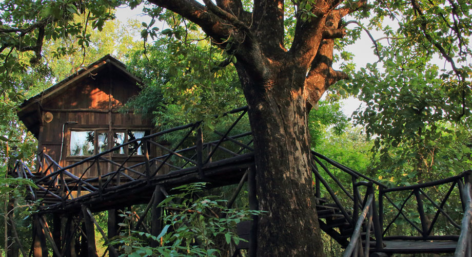 treehouse resort