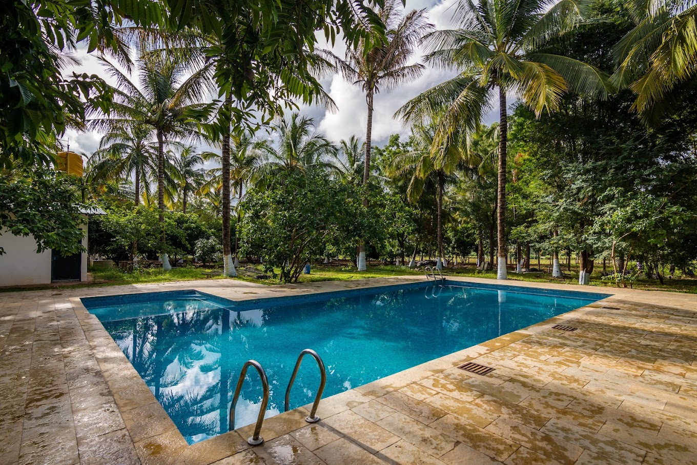 Weekend getaways from Bangalore within 200 km-The jungle sanctuary: Resorts For Corporate Outing Near Bangalore pool view