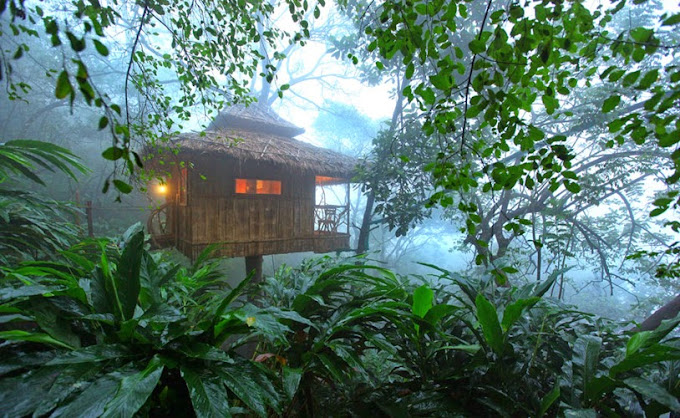 A Green Stay: rainforest resorts in kerala outside view