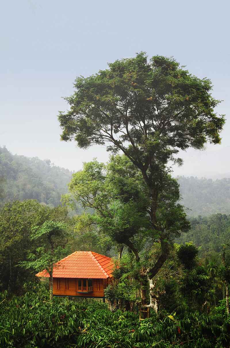 honeymoon cottages in Wayanad