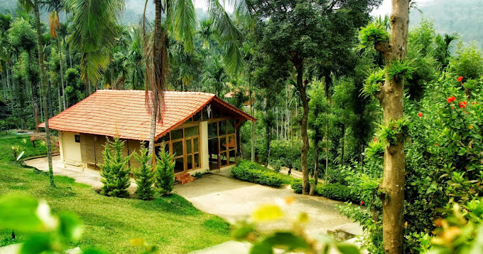 Wildflower Estate: Rainforest resorts In wayanad property view