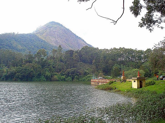 things to do in munnar