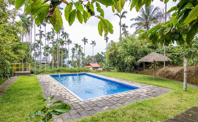 wildflower estate- rainforest resorts in kerala pool view