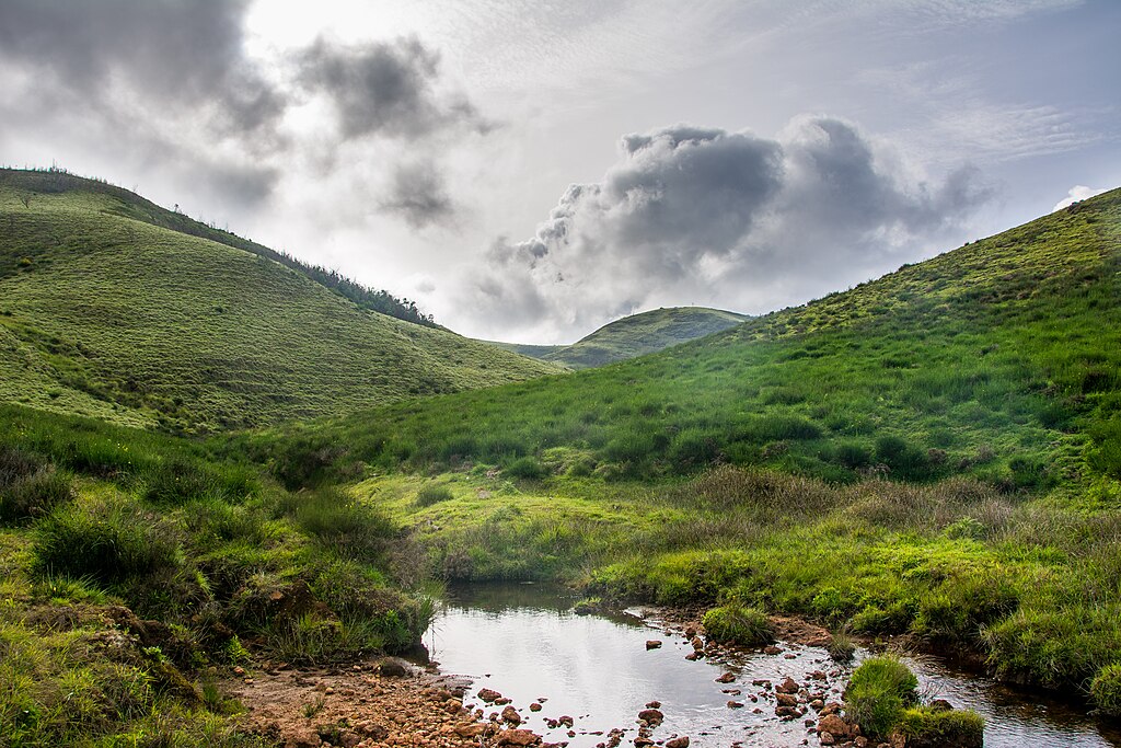 things to do in ooty with family