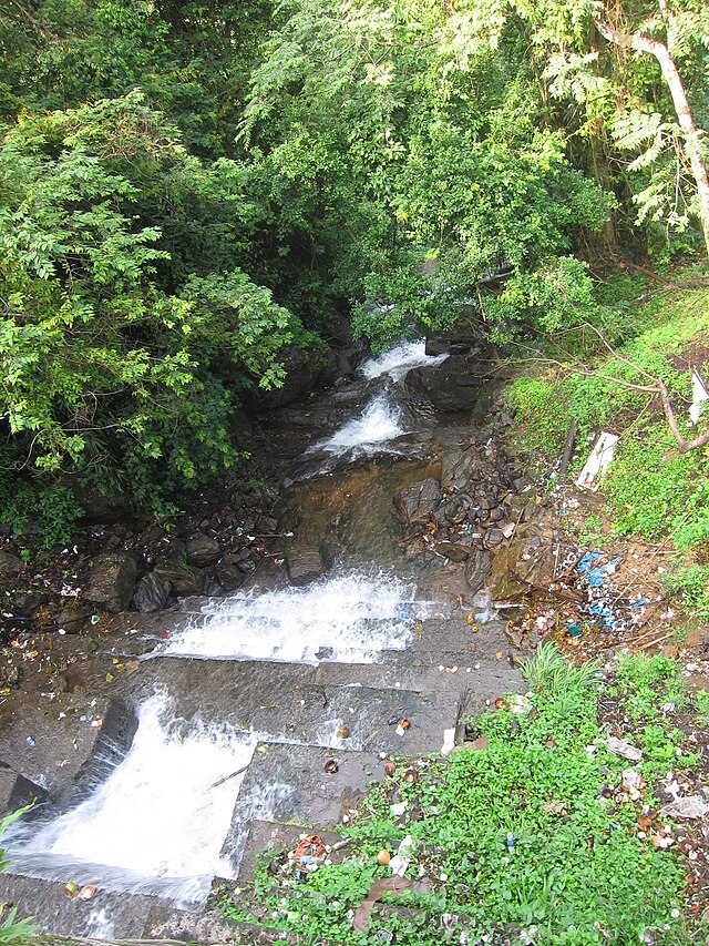 Cheeyappara waterfalls in munnar