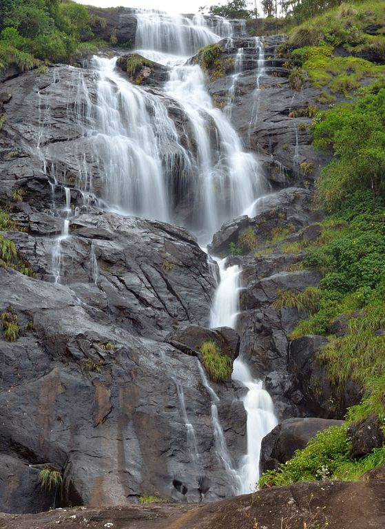 things to do in munnar