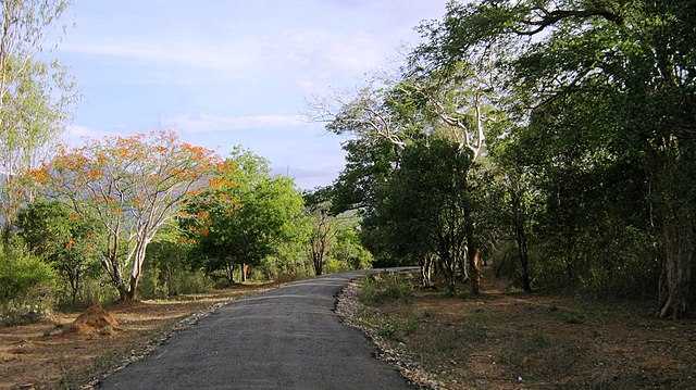 Chinnar Wildlife Sanctuary roads nearby