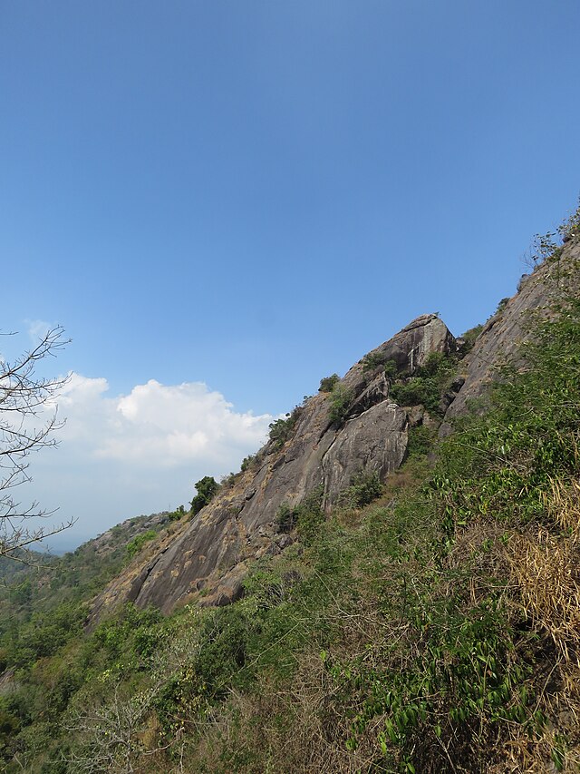 Edakkal caves surrounding view