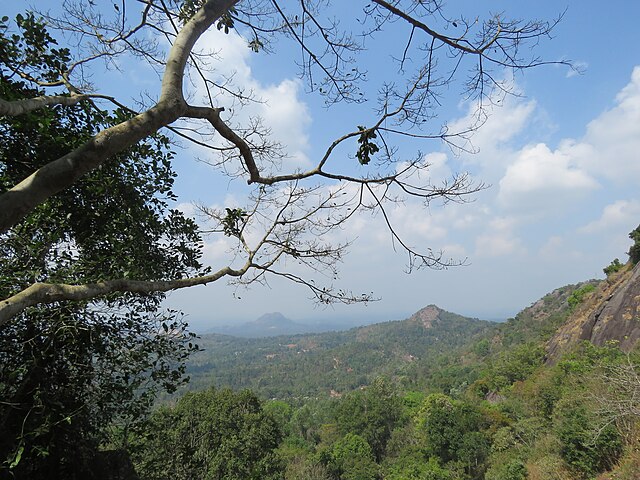 Edakkal caves