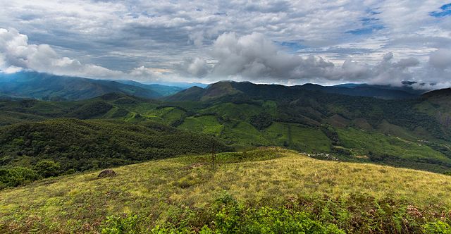 things to do in munnar