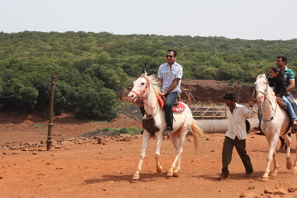 things to do in matheran