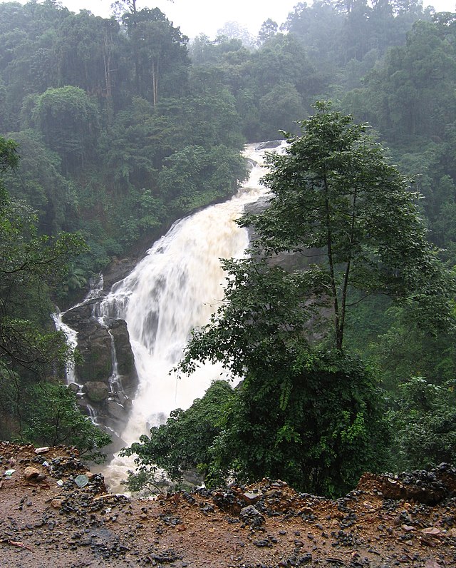 Cheeyappara waterfalls