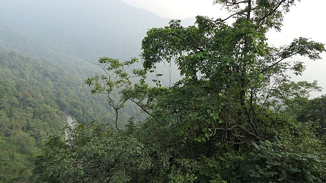 Lakkidi view point from the top