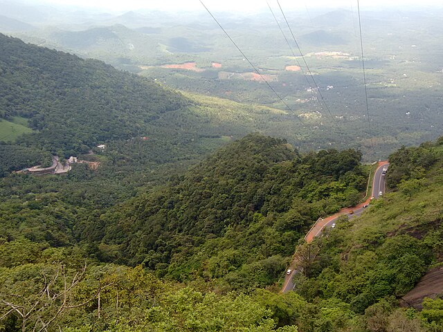 Lakkidi view point