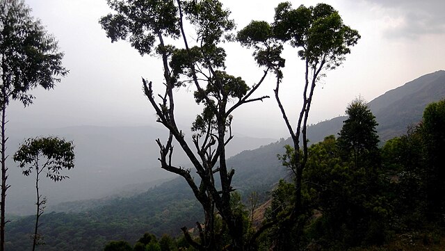 Lockhart Gap view