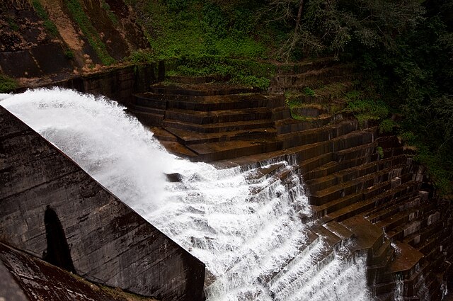 Mattupetty Dam view-