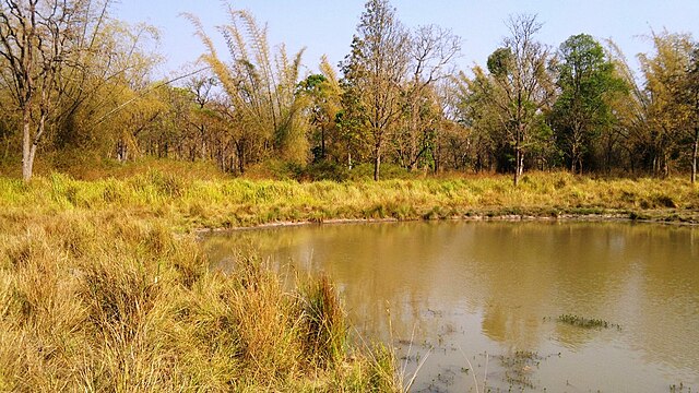 Wayanad wildlife sanctuary pond nearby 