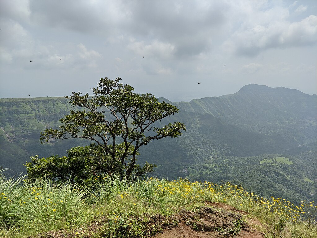 things to do in matheran