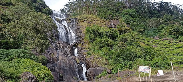 things to do in munnar