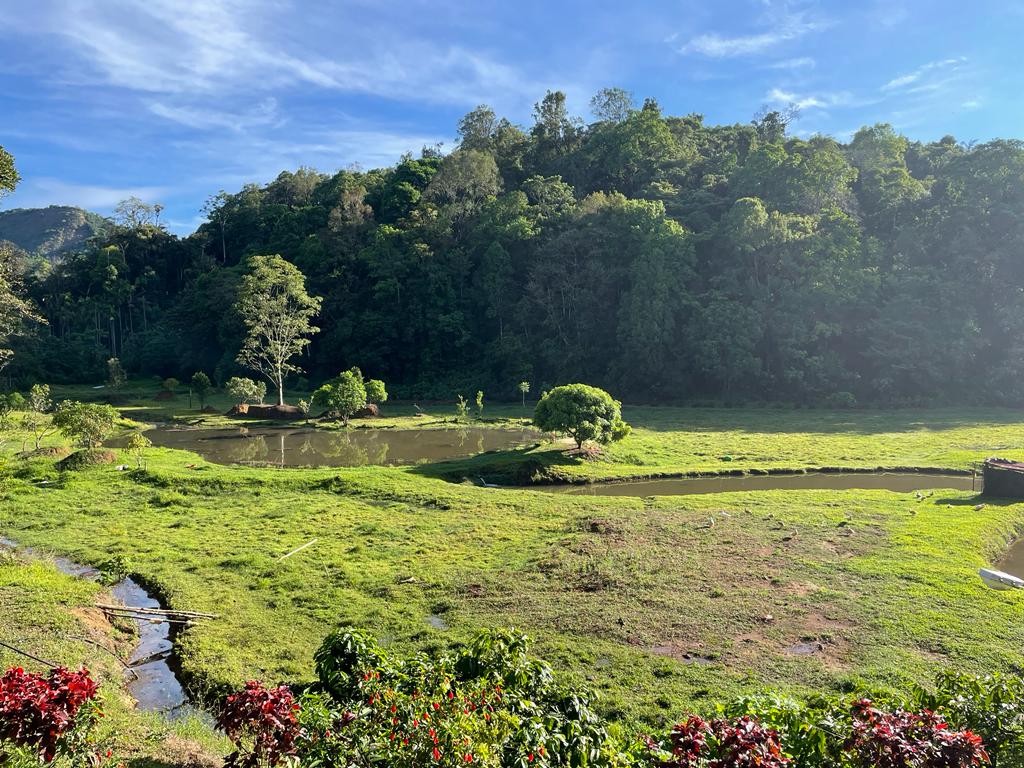 tent stay in coorg