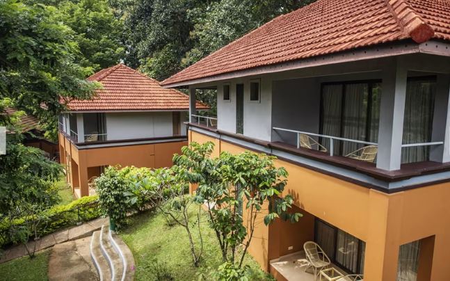 Thekkady forest Stay