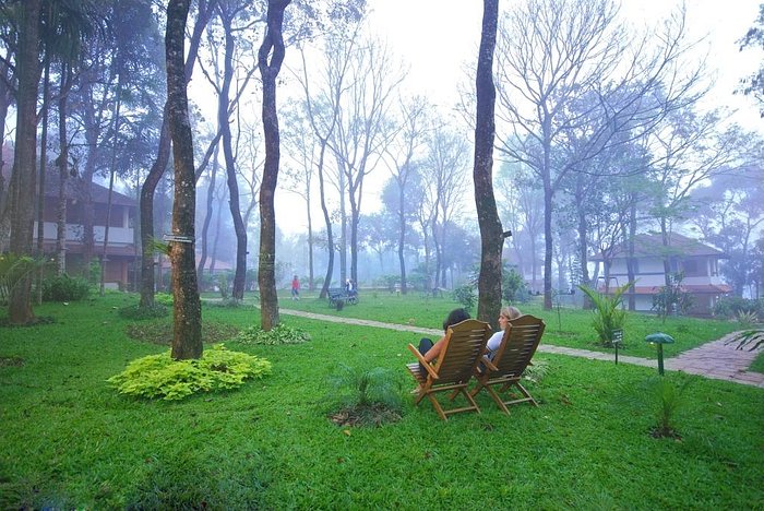 cottages in thekkady-green stay garden view