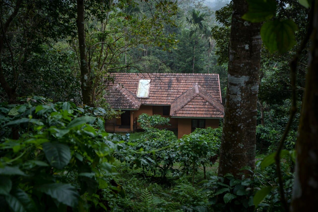 Wayanad mist getaway property view